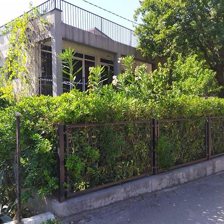 Villa Nadija Canj Exterior photo