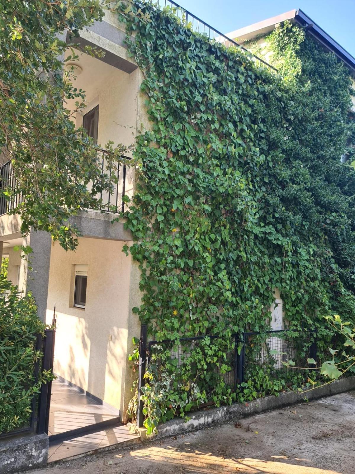 Villa Nadija Canj Exterior photo